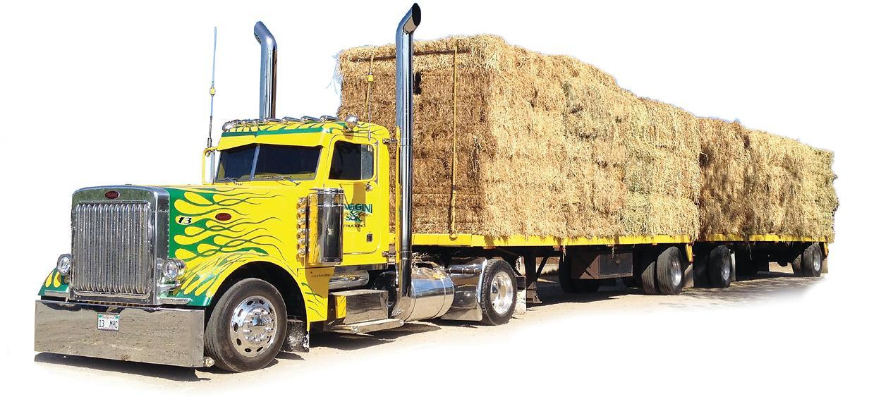 Maggini & Sons Peterbilt 379 Truck w Hay Load